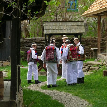 Breb 418, Casa Opris ξενώνας Εξωτερικό φωτογραφία