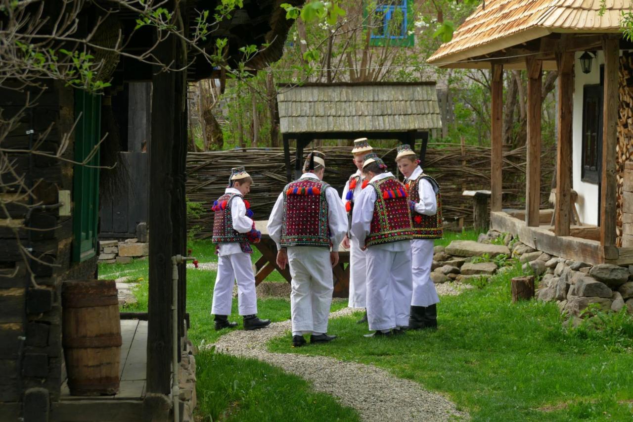 Breb 418, Casa Opris ξενώνας Εξωτερικό φωτογραφία